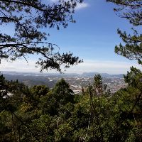 vividao