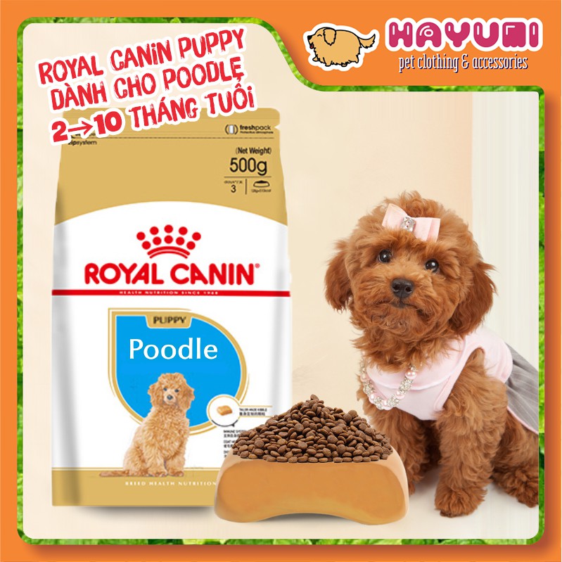 Royal canin poodle clearance puppy