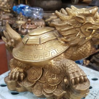 Rùa Đầu Rồng (Long Quy) cao 15cm