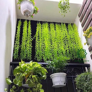 Dây lá giả - dây cúc tần giả (1m) cao cấp decor, trang trí nhà cửa, cửa tiệm, ban công...