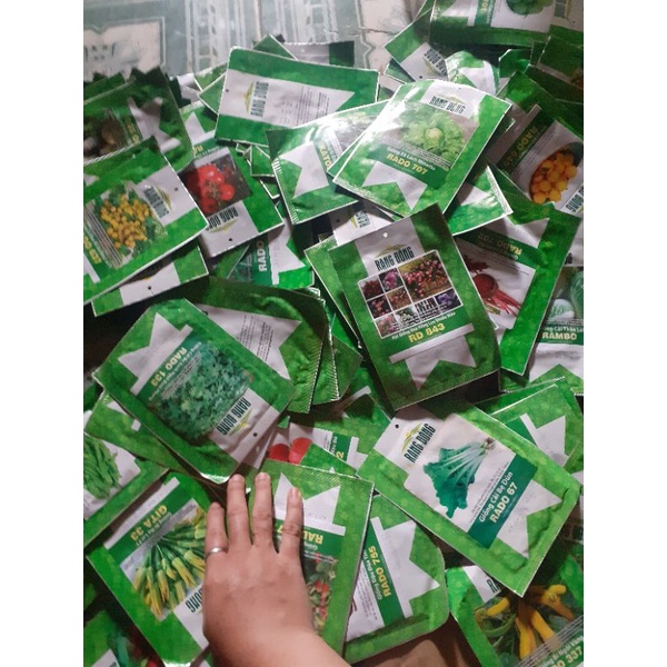 Hạt Giống Cây Ăn Quả Trồng Quanh Năm Năng Suất Cao