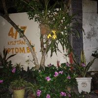 hominhthien020914