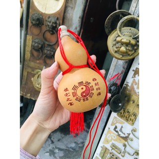 Quả Bầu Hồ lô Quả bầu thật treo phòng ngủ đầu giường vật phẩm phong thủy