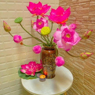 ngocngastore92