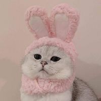 boo.neko420