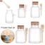 CHEESELY 100-500g Frosted Seal Jar Organizer Thìa Gỗ Hộp Đựng Đồ Đa Năng
