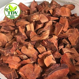 1KG Cây Mú Từn ( CÙ Boong Nậu) bổ thận tráng dương - Hàng công ty Thảo Dược Việt