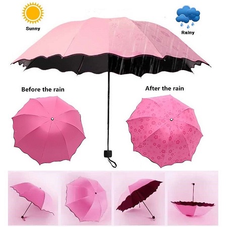 Ô Dù Chống Tia UV, Nở Hoa Khi Gặp Nước