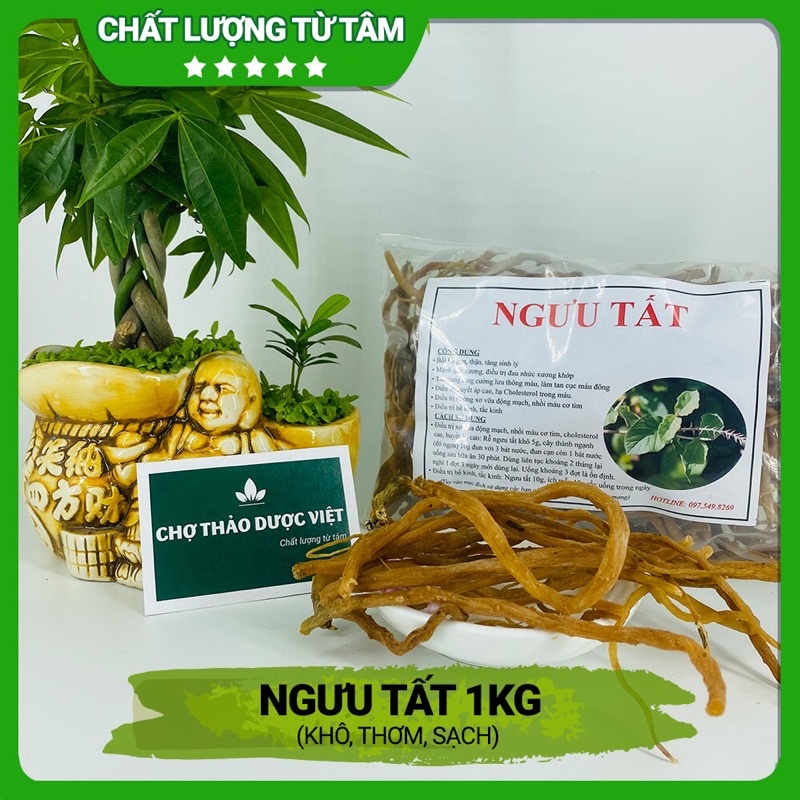 ngưu tất nam 500g -1kg | Shopee Việt Nam