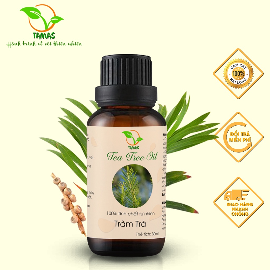 Ảnh Tinh dầu Tràm Trà nguyên chất chai 10ml/30ml TAMAS, Tinh dầu thơm phòng, khử mùi, thanh lọc không khí, làm đẹp da,... 1
