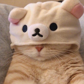 tranphuonguyen28