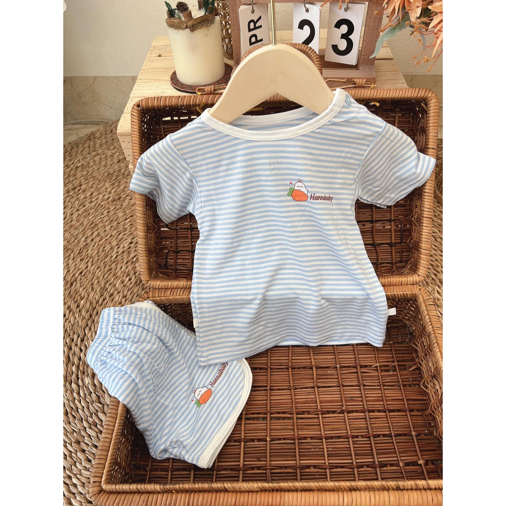 Bộ Cotton Xuất Dư Chất Cotton Mềm Mịn Cho Bé