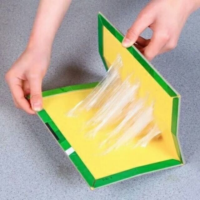 Combo 3 miếng dán bẫy chuột siêu dính tiêu diệt chuột nhanh chóng