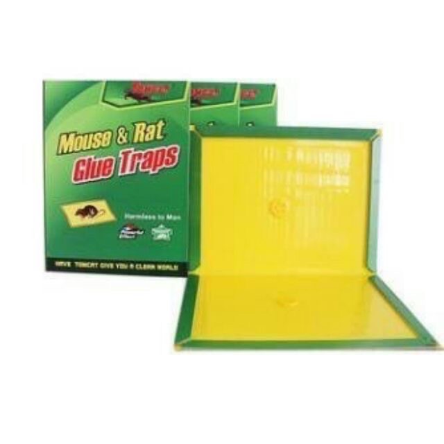 Combo 3 miếng dán bẫy chuột siêu dính tiêu diệt chuột nhanh chóng