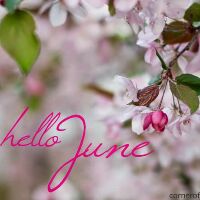 june03ng