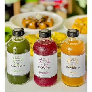 [HỎA TỐC] Trà Lên Men Lady Kombucha 500ml - Xanhsam Natural & Organic