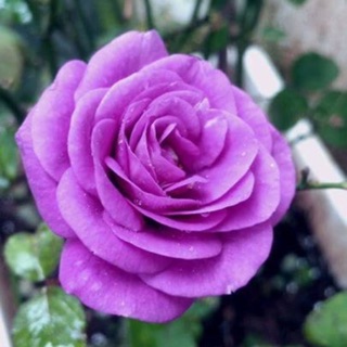anhnhien8913