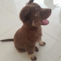 1999thanhpham
