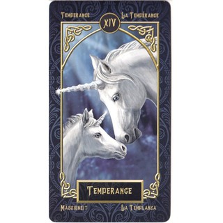 Bộ Bài Tarot Familiars (Mystic House Tarot Shop) - Bài Gốc Authentic Chính Hãng 100%