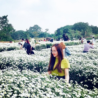 ngocanhntqd95