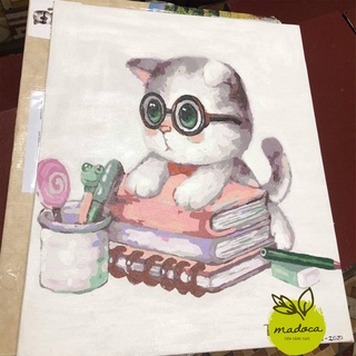 Tranh tô màu số hóa Madoca có khung 40x50cm Mèo đọc sách T903