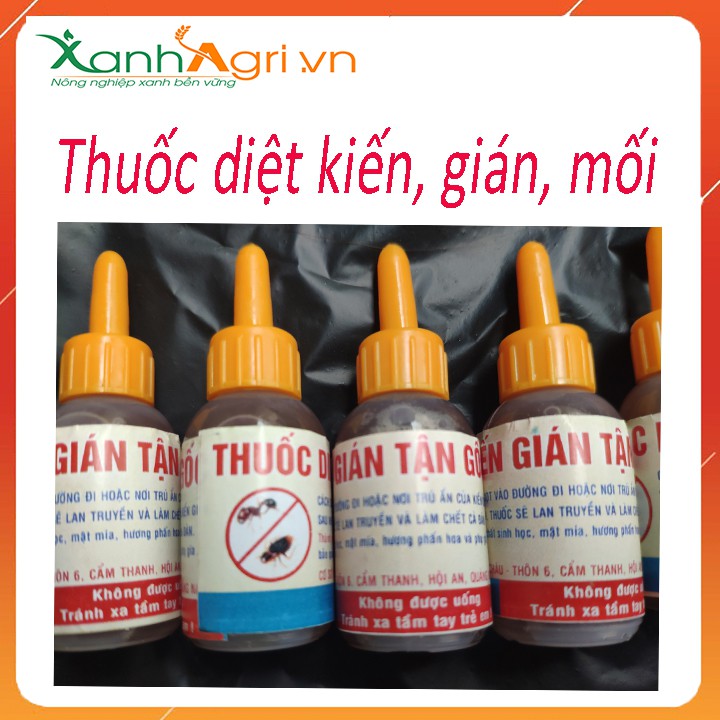 4. Hướng Dẫn Sử Dụng Thuốc Diệt Kiến Mối