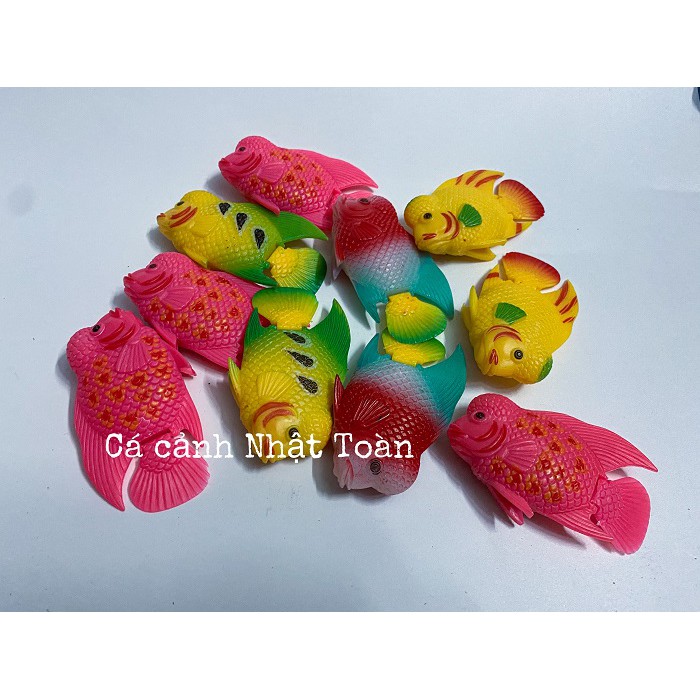 CÁ LA HÁN GIẢ LỚN LÀM CÁ KÈ CHO LA HÁN (MÀU NGẪU NHIÊN)