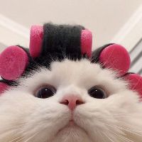 zznancyzz