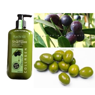 Dầu Gội Xả Olive Hachi 350ml 500 800 Chiết Xuất Từ Quả Oliu Ngăn Ngừa Gàu Và Giảm Kích Ứng Da Đầu