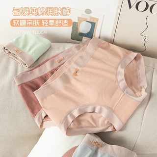 COMBO 10 QUẦN COTTON NÂNG MÔNG MẪU MỚI