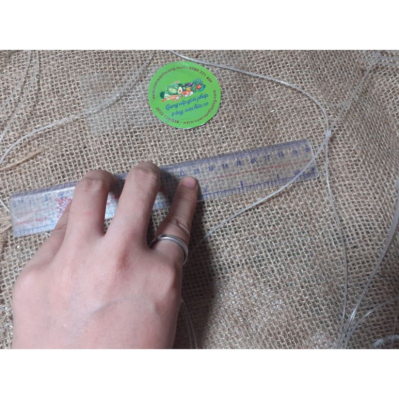 1 m Lưới Cước Làm Giàn Cho Cây Dây Leo, Bầu, Bí, Mướp Khổ Kéo Tối Đa 4m, Ô 15x15cm, Dài Tùy Chọn, Sợi Cước Bền Chắc, Bền