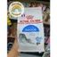 500g / 1kg / 2kg - Hạt ROYAL CANIN INDOOR Cho Mèo Lớn