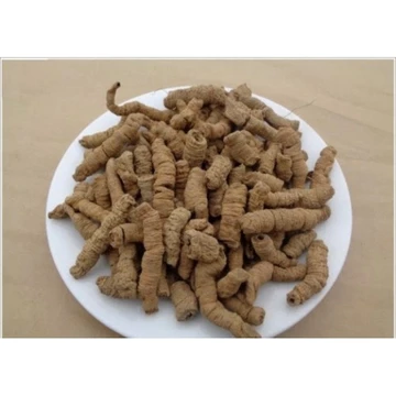 ⚡️ Ba kích tím Quảng Ninh đã bỏ lõi khô 500G ba kích hàng loại 1- Dược Liệu Quý ⚡️