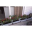 Chậu nhựa hàng rào kt (45x20x15)cm,chậu hình hàng rào