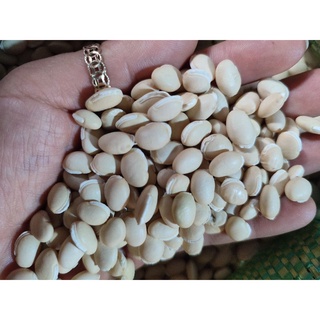 500gr Đậu ván nhà trồng hạt tròn đẹp