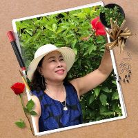 hoanpham123456789