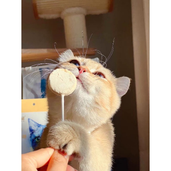 Bánh Thưởng Que Sấy Lollipop Cho Cún Mèo - 1,4 Gram