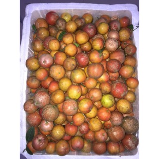Chanh đào mật ong đường phèn HANDMADE Hủ 1lít