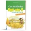 Sách - Combo Làm Chủ Kiến Thức Ngữ Văn 9 Luyện Thi Vào 10 ( 2 Tập )