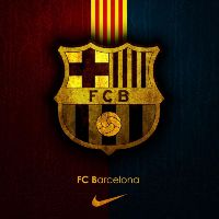 t55553865