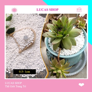 Đá/Sỏi Cao Cấp Decor Chậu Cây Cảnh, Bể Cá, Tiểu Cảnh, Lót Nền Sân Vườn Siêu Xinh