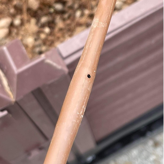 Cuộn 1000m Ống nhỏ giọt nâu Hydro Bloom tưới cảnh quan 8mm-Hệ thống tưới nhỏ giọt