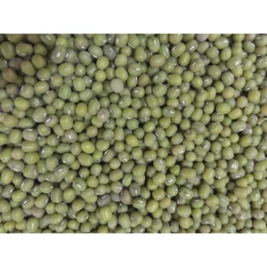1kg, 500g Đậu xanh hạt nguyên hàng chuẩn đẹp dùng làm giá đỗ, nấu chè