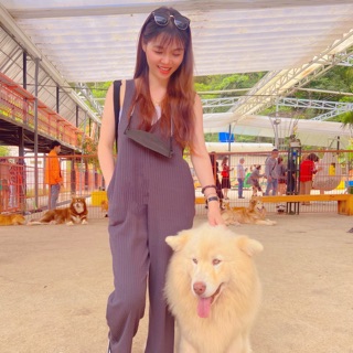 sharonkao0525