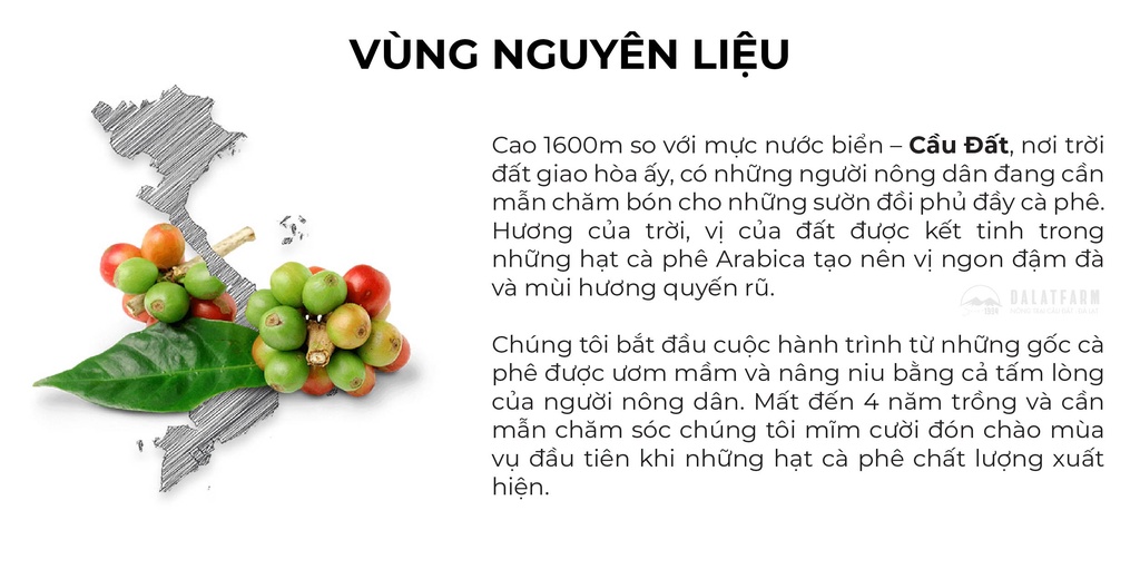 Mô tả Cà Phê Arabica Cầu Đất Dalat Farm - Túi 250Gr (Dạng hạt) - 2