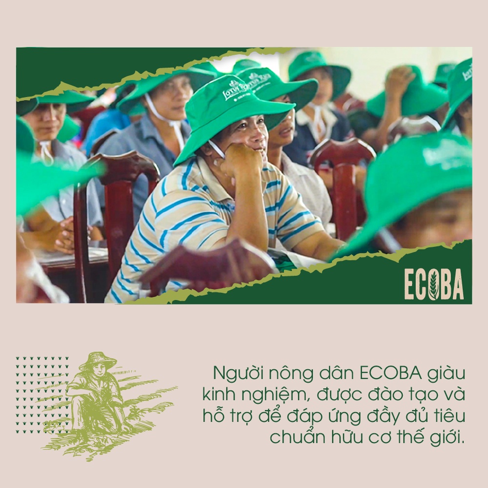 Gạo hữu cơ cao cấp/ECOBA Ngọc Mễ 1kg | Shopee Việt Nam