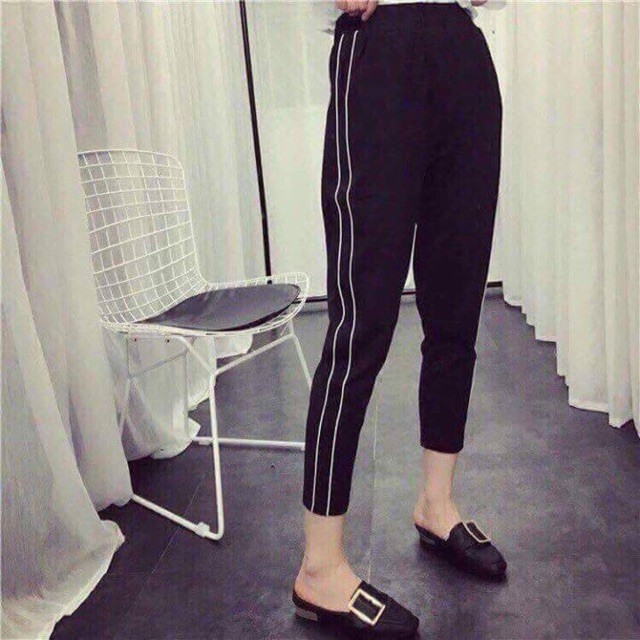 [RẺ VÔ ĐỊCH] Quần baggy 2 mí l1 H.S825