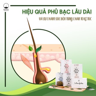 Lá Thơm Gội Đầu Ogatic (1 gói), Dầu Gội Thảo Dược Bồ Kết, Giúp Tóc Sạch Gầu, Hương Thơm Tự Nhiên