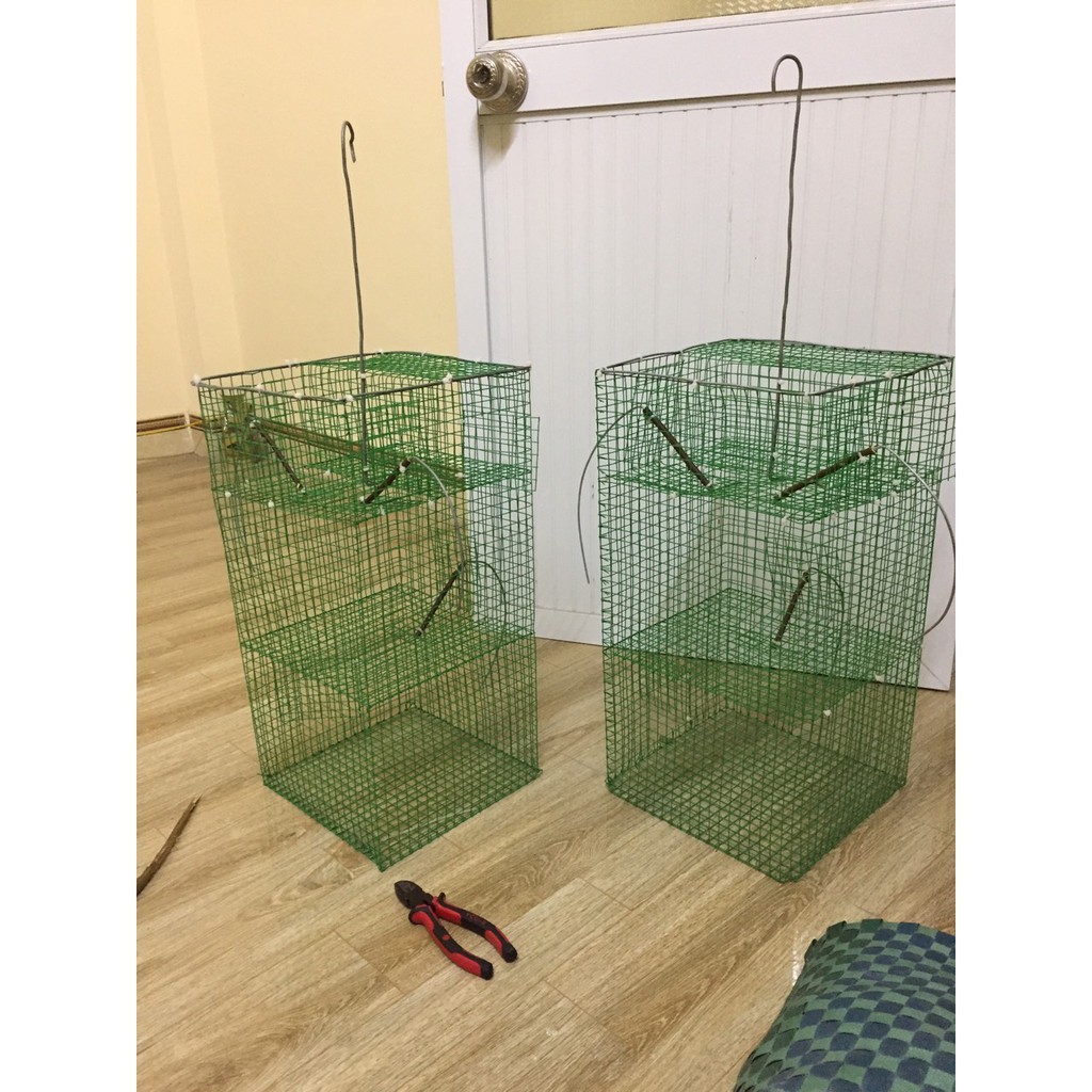 Lồng Bẫy Chim Tự Động Siêu Nhạy | Shopee Việt Nam