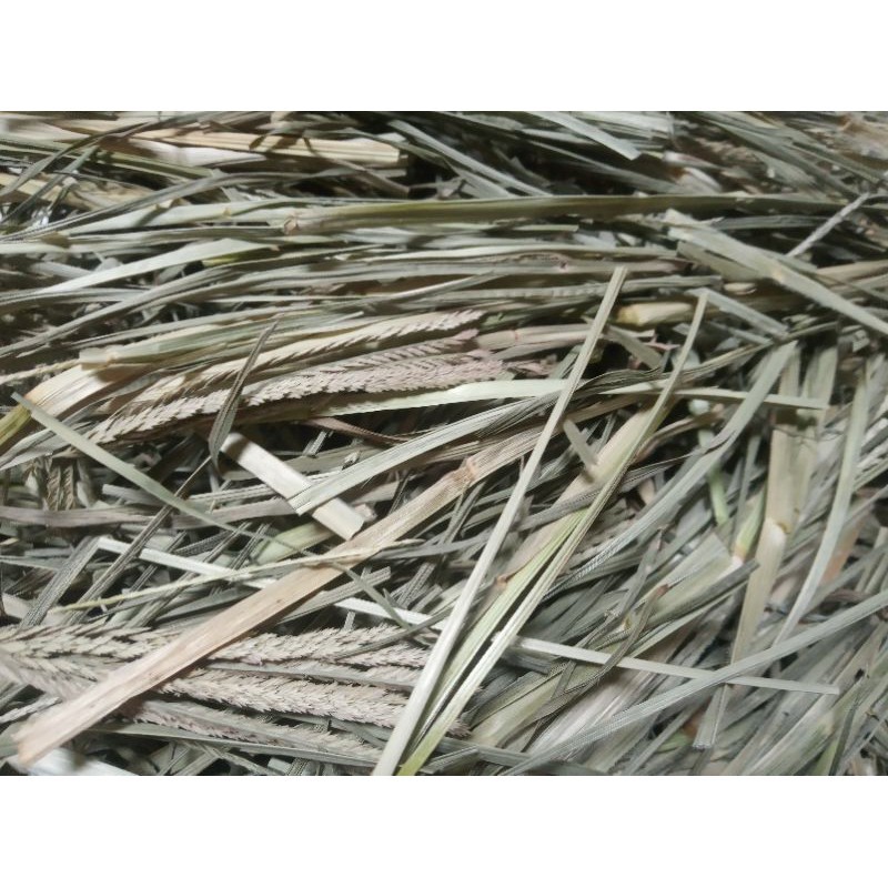 Cỏ mần trầu khô JINDO 1kg